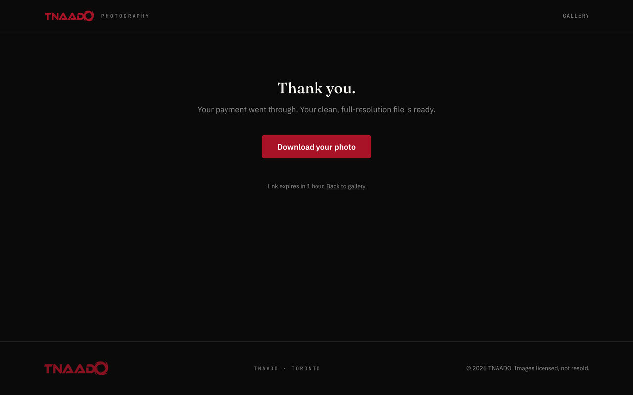A confirmation page after payment reading Thank you, your payment went through, your clean full resolution file is ready, with a download button and a note that the link expires in one hour.